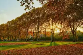 郑州地铁7号线、8号线沿线美景全攻略来了！图片