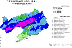 沈阳出现自1951年以来最强降水！此轮集中降水将持续到……图片