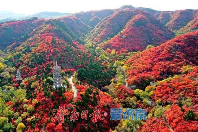 红叶谷第25届红叶节10月1日启幕