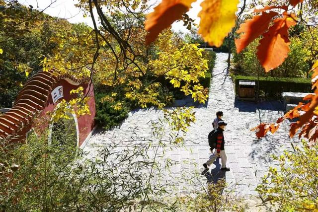 山村歌会牵手红叶节，盘山开启“双拼”盛宴！