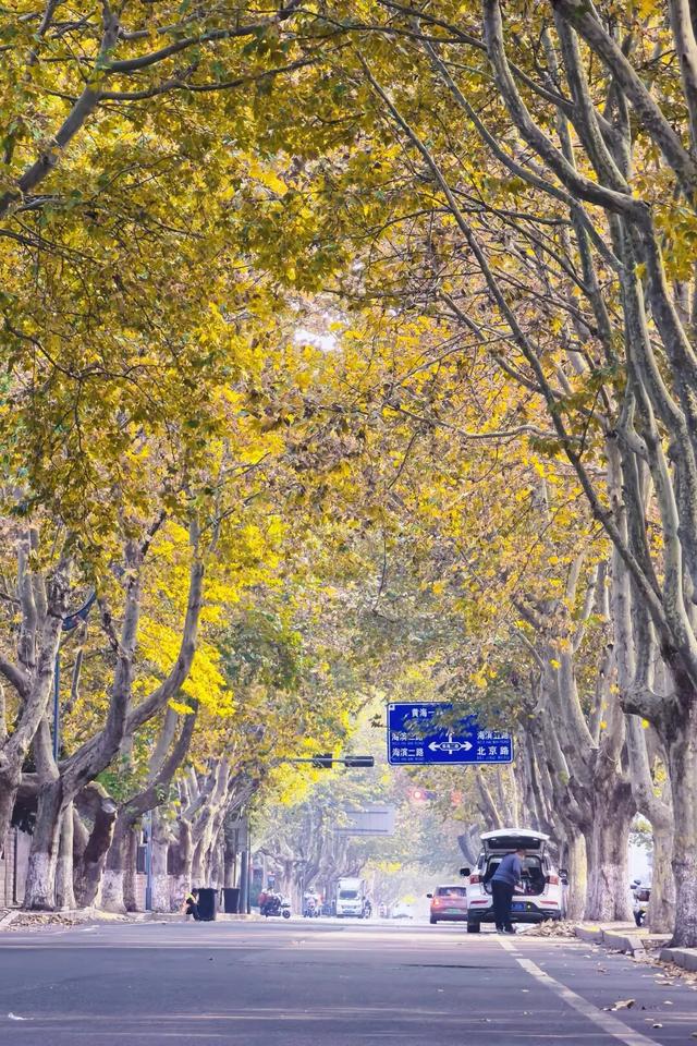 此刻！石臼街道的美景！