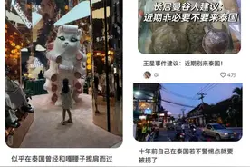 热闻|退订率飙升！王星事件致大批网友取消春节泰国行程，泰国国家旅游局发声图片