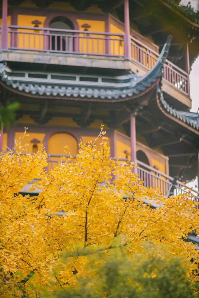 啊~秋！超绝龙城入“chill”指南～