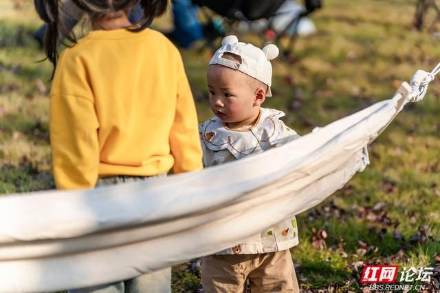 岁暖时刻丨枫落无声，秋意成空——益阳红枫大道的迟暮之美