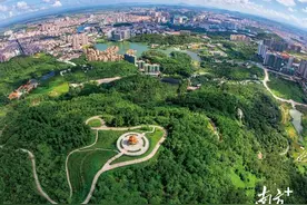 国庆来江城品“全鹅宴”！这份旅游指南快收好图片