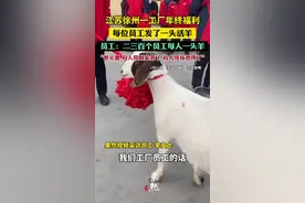 江苏徐州一工厂年终福利，每位员工发了一头活羊。员工：二三百个员工每人一头羊，很实惠，有人带回家养了，有人现场处理了 @国彪车辆笑笑图片