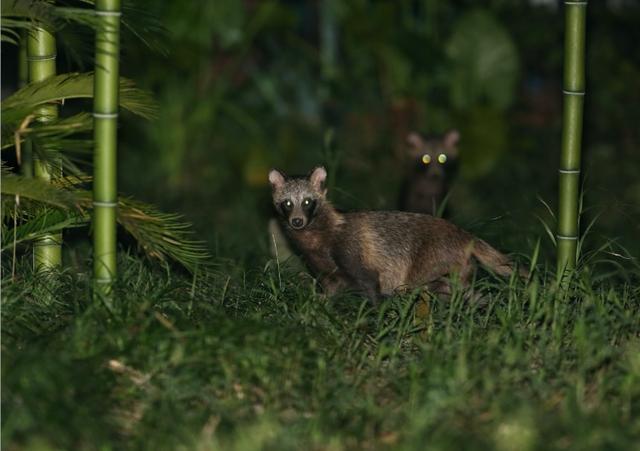 最新资讯-上海又有两个区初次发现！散布地区延续扩大，居民从惧怕到逐步接管(2)