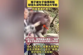 女子摸猴屁股致大爷“躺枪”被咬？峨眉山景区回应：近期无此事图片