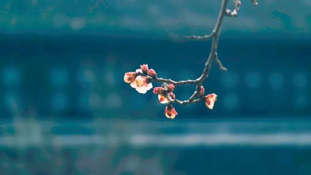 盐城春节活动第一波上新！