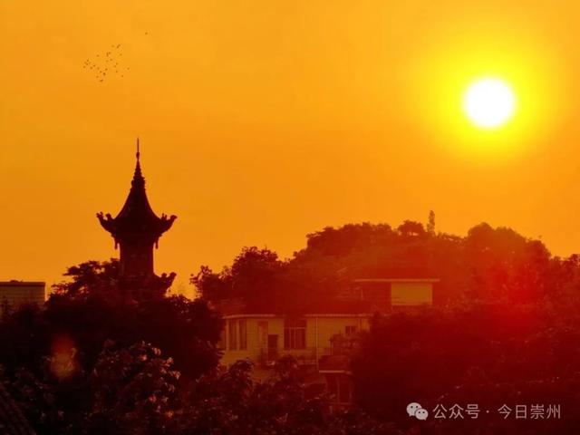 盛夏崇州 与你相约！