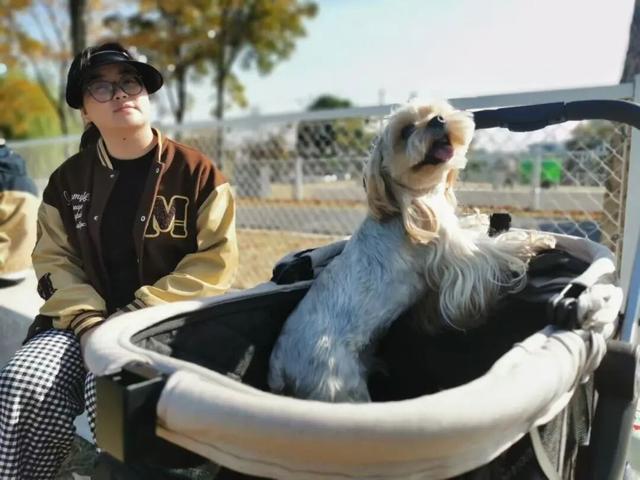 萌宠赛、活力市集、阳光草坪……宝山杨行露营节，解锁文明养宠新时尚