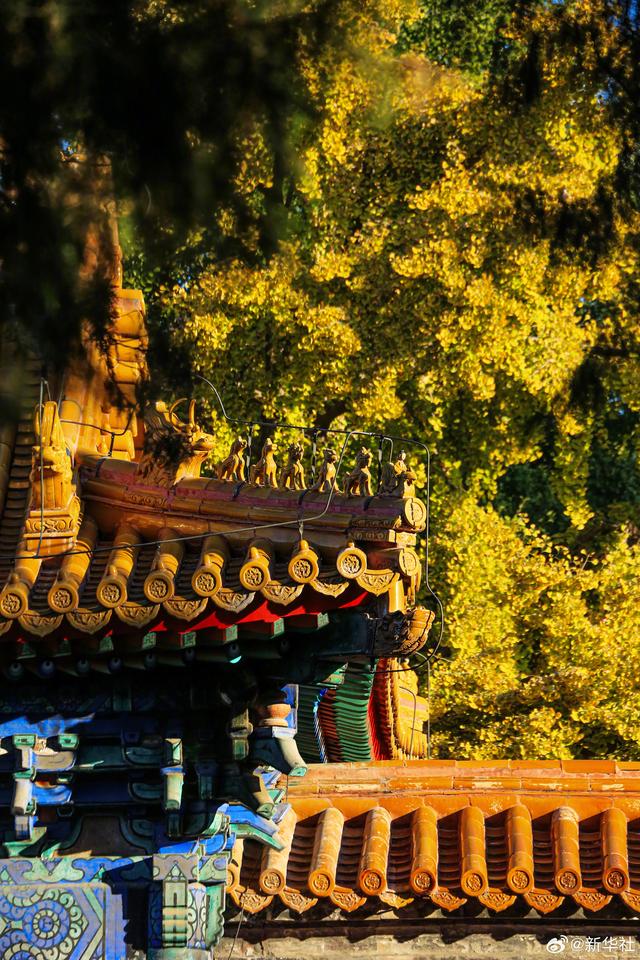 收藏！秋天是写在古都的诗篇