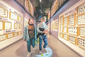 武汉植物园虫虫园16日开门迎客 这里有世上最大蚂蚁和最美蝴蝶图片