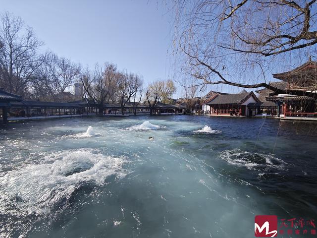 泉水“沸腾”迎新年，清照泉城·明水古城成济南元旦打卡热点