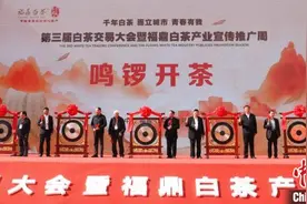 “中国白茶之乡”福建福鼎举办开茶节：品白茶、赏民俗、吃美食图片