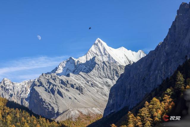 C视觉·C位追山⑨丨每一张都是手机屏保 隔屏仰望亚丁三大雪山