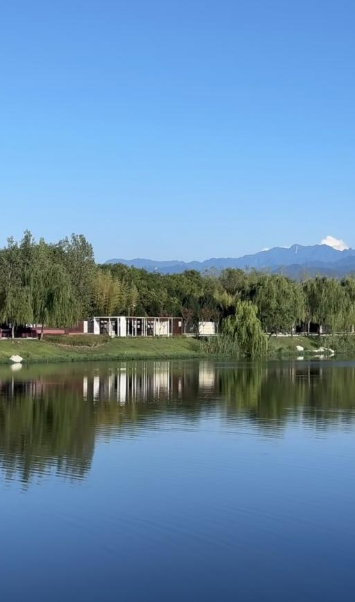 秋意浓，漫步图鉴就在→