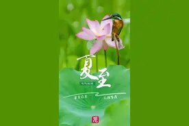 228年来最早夏至来了！广东人的“正气果”正大量上市，“可盐可甜”图片