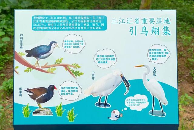 有玩有食！收藏三水这条游玩路线，出发！
