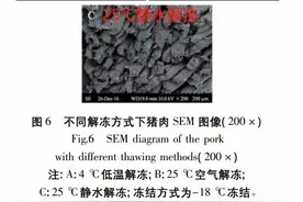 这几个无意识的习惯，可能在悄悄伤害你的健康！快自查图片