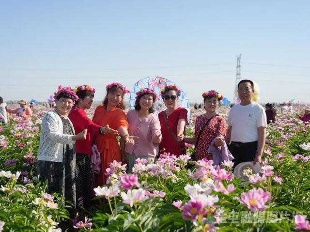 芍药花正开·相约开干齐｜奎屯市第五届芍药花文化旅游活动，邀你赴约！