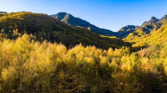 免门票福利！白云山绝美秋色正在上映→