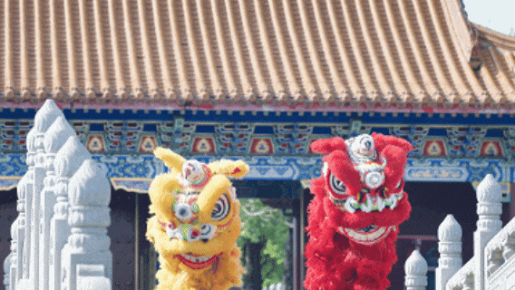跟着醒狮去旅行！肥娟夫妇在线“摇人”！