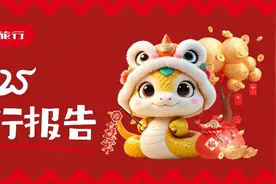 开心消费过大年｜山东入境游出圈！春节订单同比增长84%图片