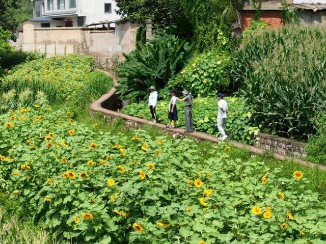 自在嵩明丨层峦碧水、林间野趣、美食垂钓……近郊旅行就来杨桥西山大村子