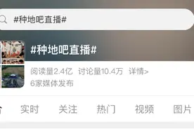 十个勤天卖郁金香上热搜，2400份郁金香被“秒抢”图片