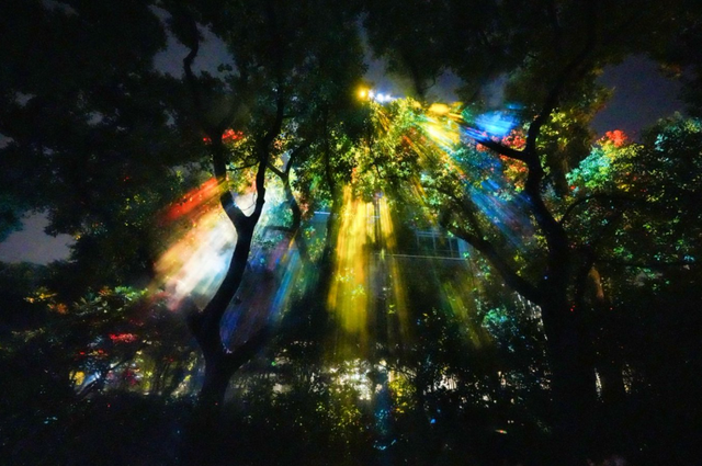 上海的朋友快冲！还有8天！来静安开启梦幻夜游！（超多美图抢先看↗）｜金秋静安·不容错过