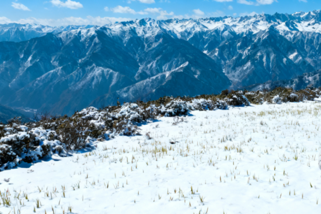 “洛阳怎么一下雪，就封神。”