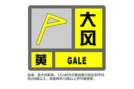 上海紧急提醒：预警升级！高速限速、轮渡停航…演出突然取消，网友心痛：凌晨3点千里迢迢赶来图片