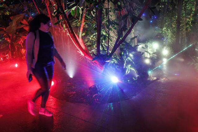 （外代二线）“夜间公园”灯光秀