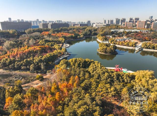 吉镜头｜长春世界雕塑园秋景正盛，市民赏秋好去处