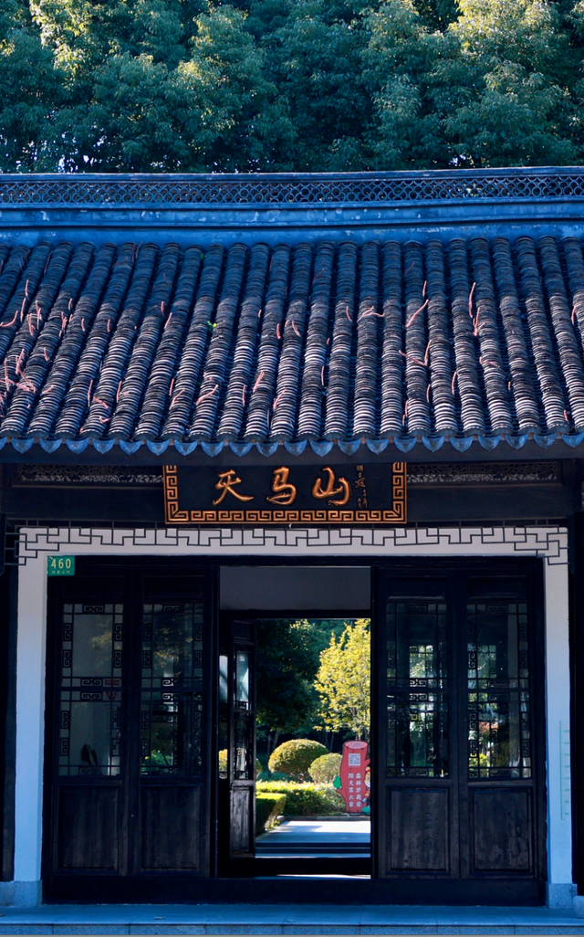 打卡乡野丨新年第一站，去上海离宇宙最近的村子，仰望星空，脚踏田野，开启元气新年