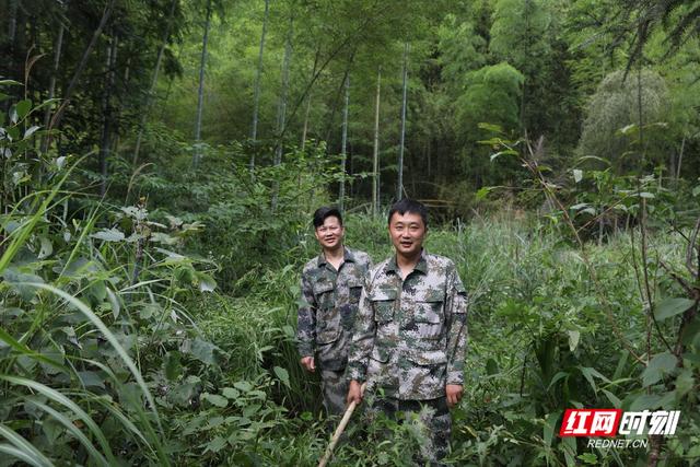我住湘江边① | 蓝山天犬岭 一滴成势奔洞庭