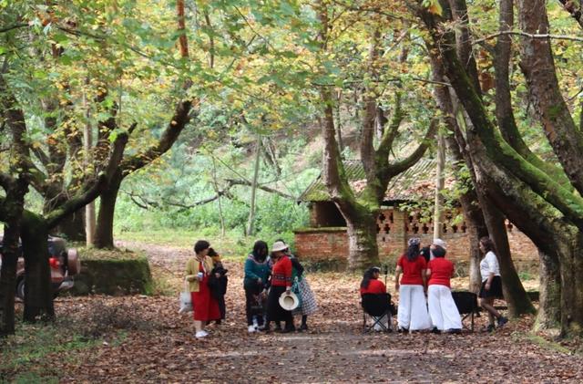 贯彻全会精神 云岭一线见闻