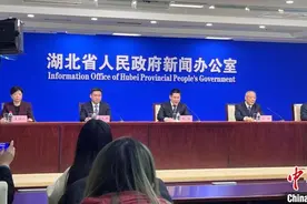 湖北基本形成新材料产业体系图片