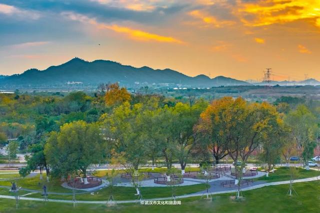 武汉为百年古树建公园，免费开放！