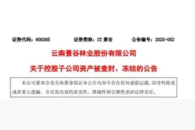 知名家居供货商涉借贷纠纷，景谷林业新购子公司被查封约5000万元资产，此前业绩大幅“变脸”图片
