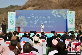 赏梨花盛景、梯田放风筝 北京平谷开启梨花谷雨休闲季图片