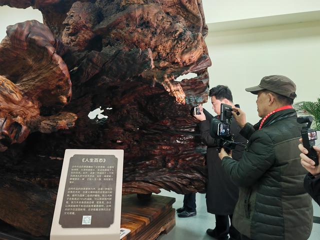 e路采风行，看见平顶山丨新华区：古韵新风交相映 活力城区入画来