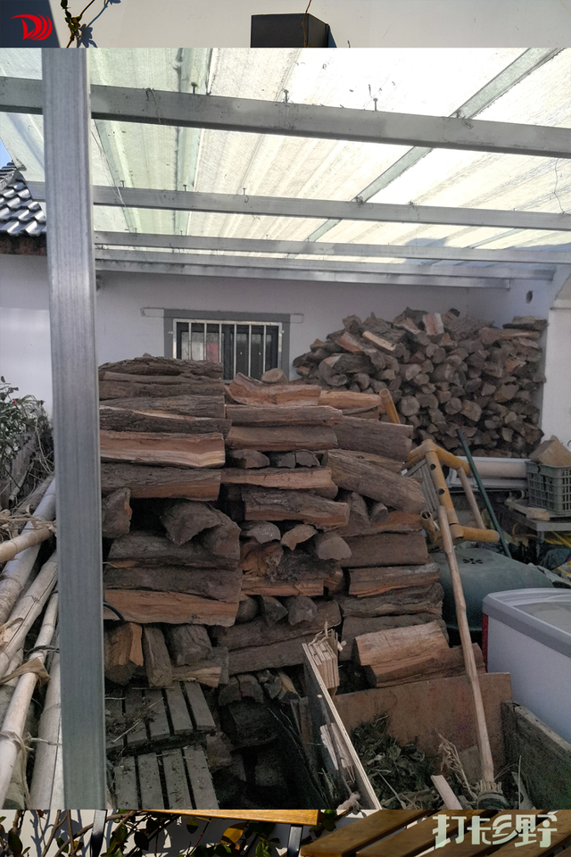 打卡乡野丨新年第一站，去上海离宇宙最近的村子，仰望星空，脚踏田野，开启元气新年