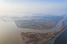 敢当弄潮儿 奋力挑大梁｜“总量靠前、增幅领先”，滨海放大既有优势强势崛起图片