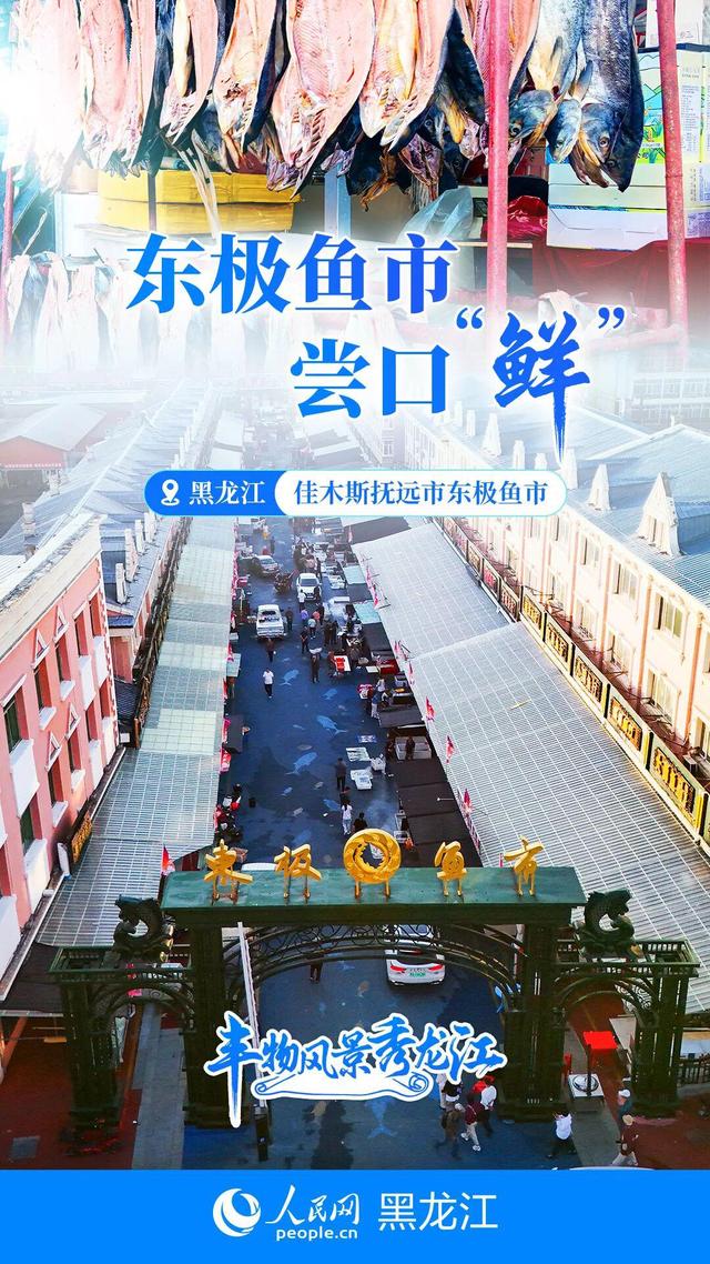 丰物风景秀龙江｜黑土地的绿脉呼吸