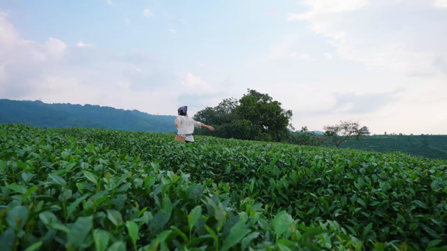 【网络中国节·七夕】这个七夕，来名山，体会爱！