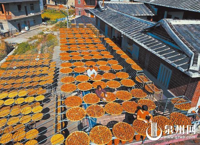 观秋色、闻秋香、品秋味、摘秋果 泉州各地秋意渐浓