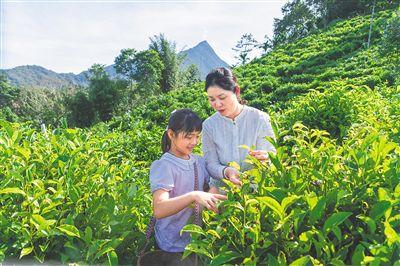 海南旅游“红绿蓝”三色“圈粉”更“圈心”