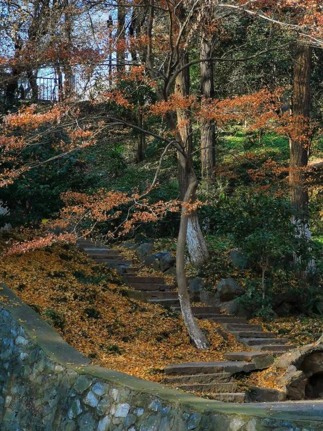 当代人需要的情绪价值，镇江给你！